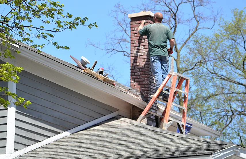 Chimney & Fireplace Inspections Services in Waverly, MI